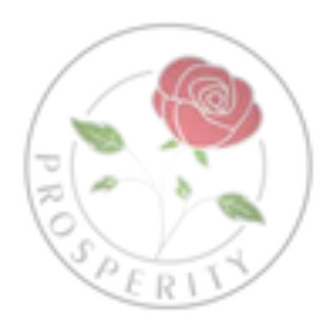 Prosperity Mirra avatar image