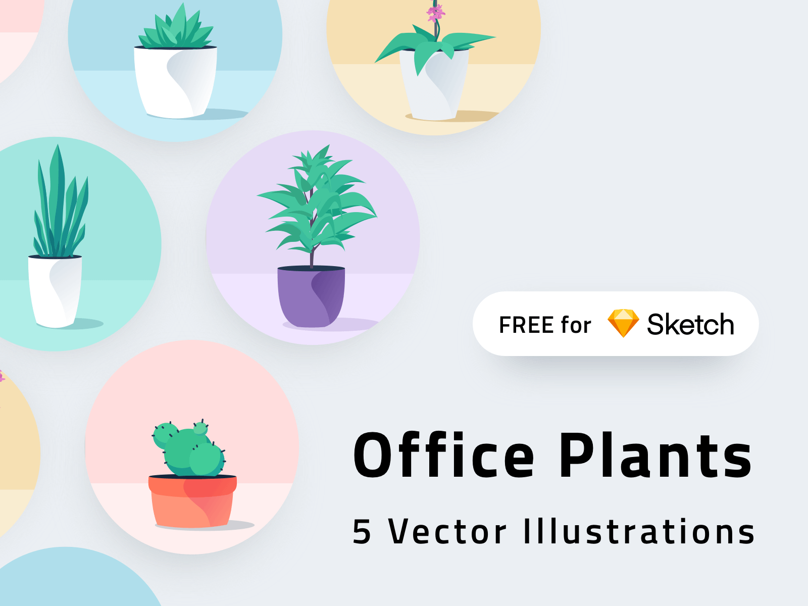 Office Plants Illustrations presentation image