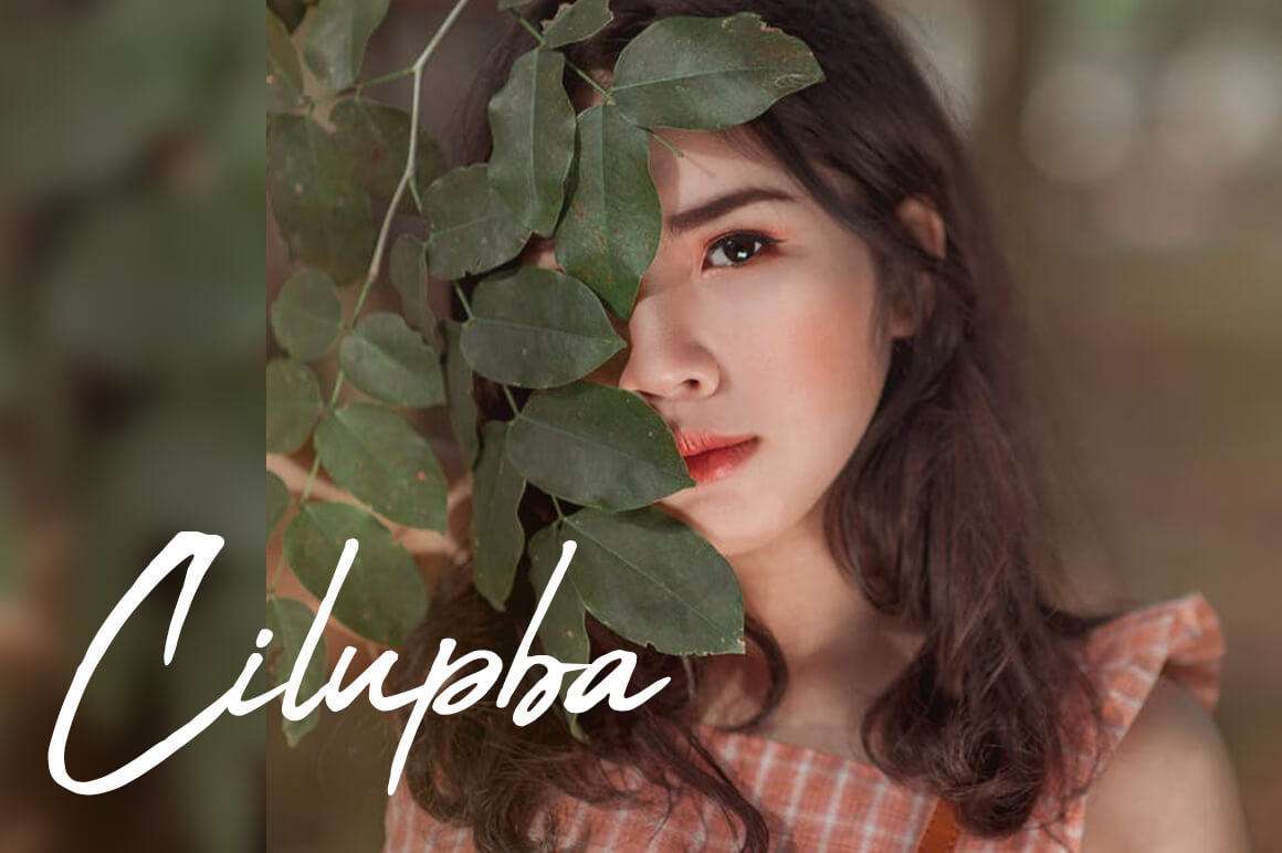 Abuget Brush Font presentation image