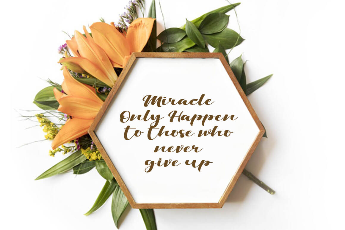 Viksi Script Free presentation image