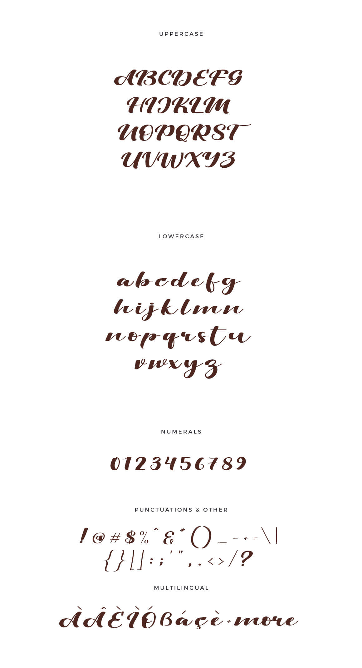 Viksi Script Free presentation image