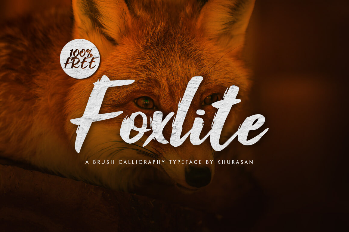 Foxlite Script presentation image
