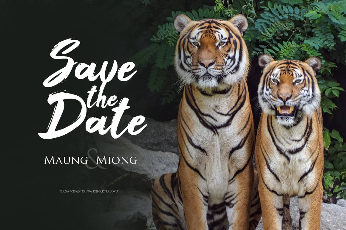 Foxlite Script presentation image