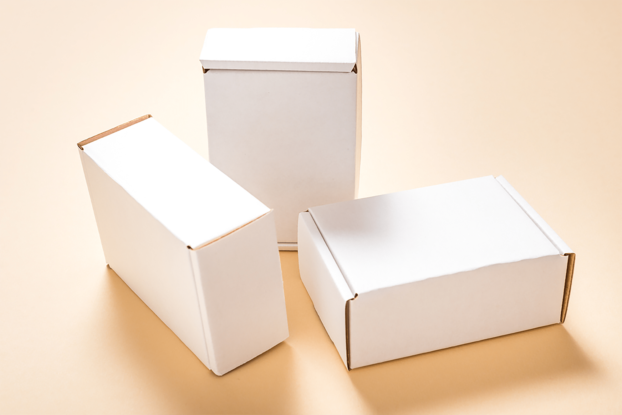 CARDBOARD FLAT MAILER BOXES Mockup presentation image