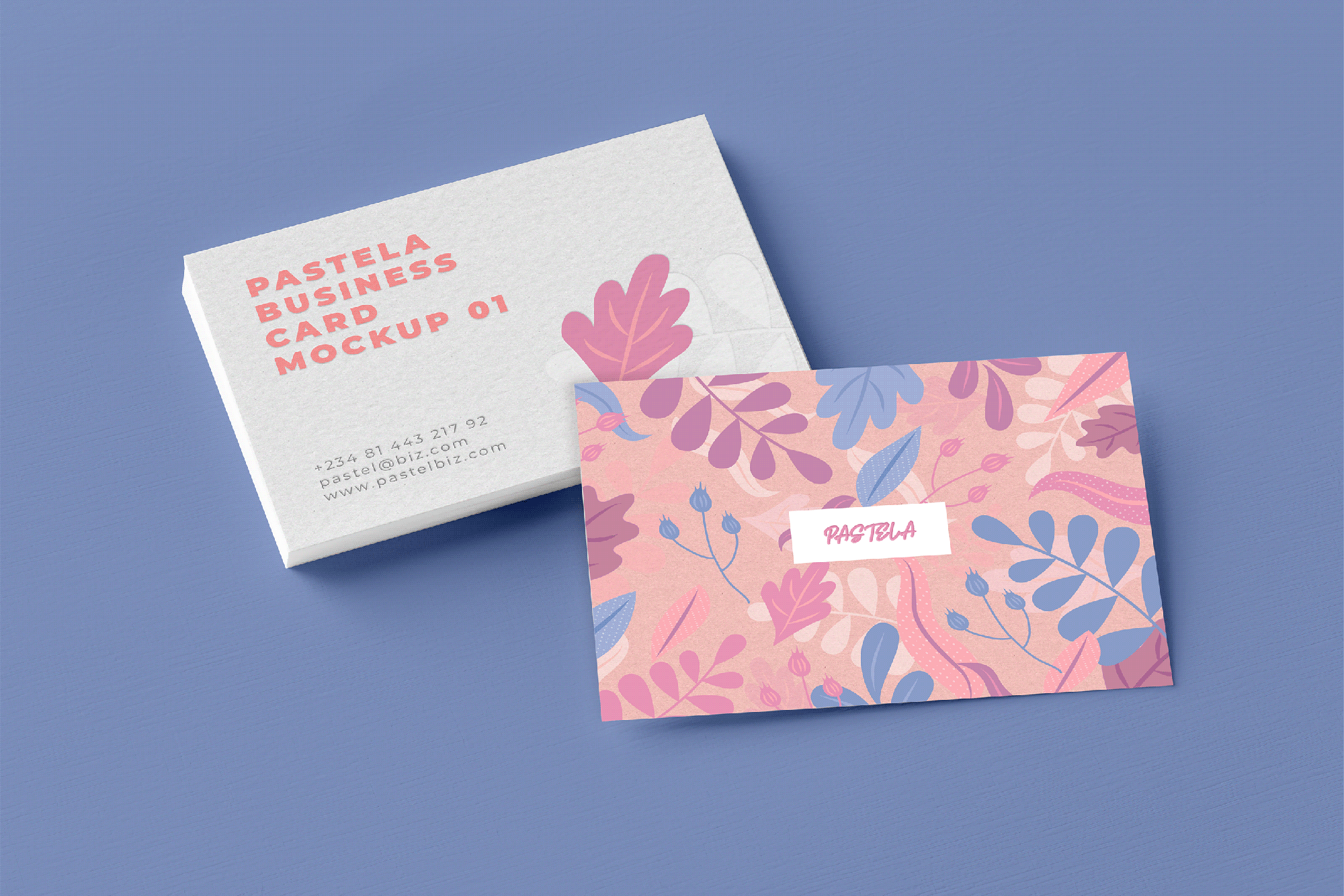 Business Card Mockup Collection V1 presentation image