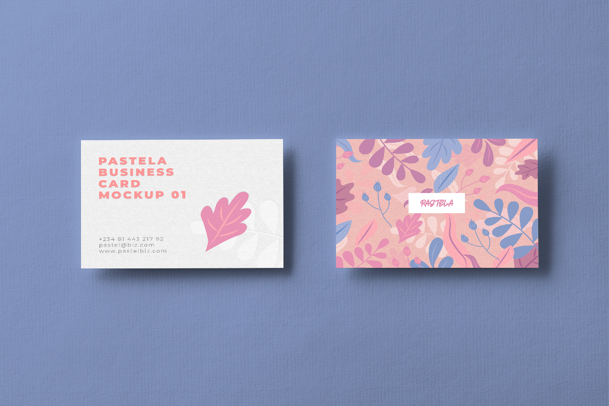 Business Card Mockup Collection V1 presentation image