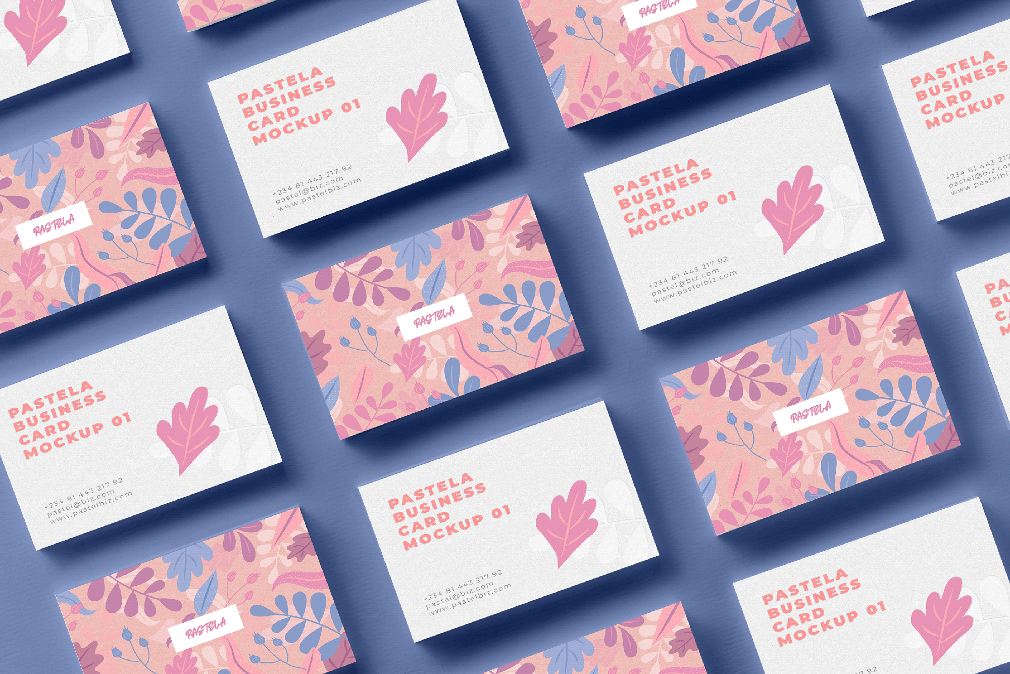 Business Card Mockup Collection V1 presentation image