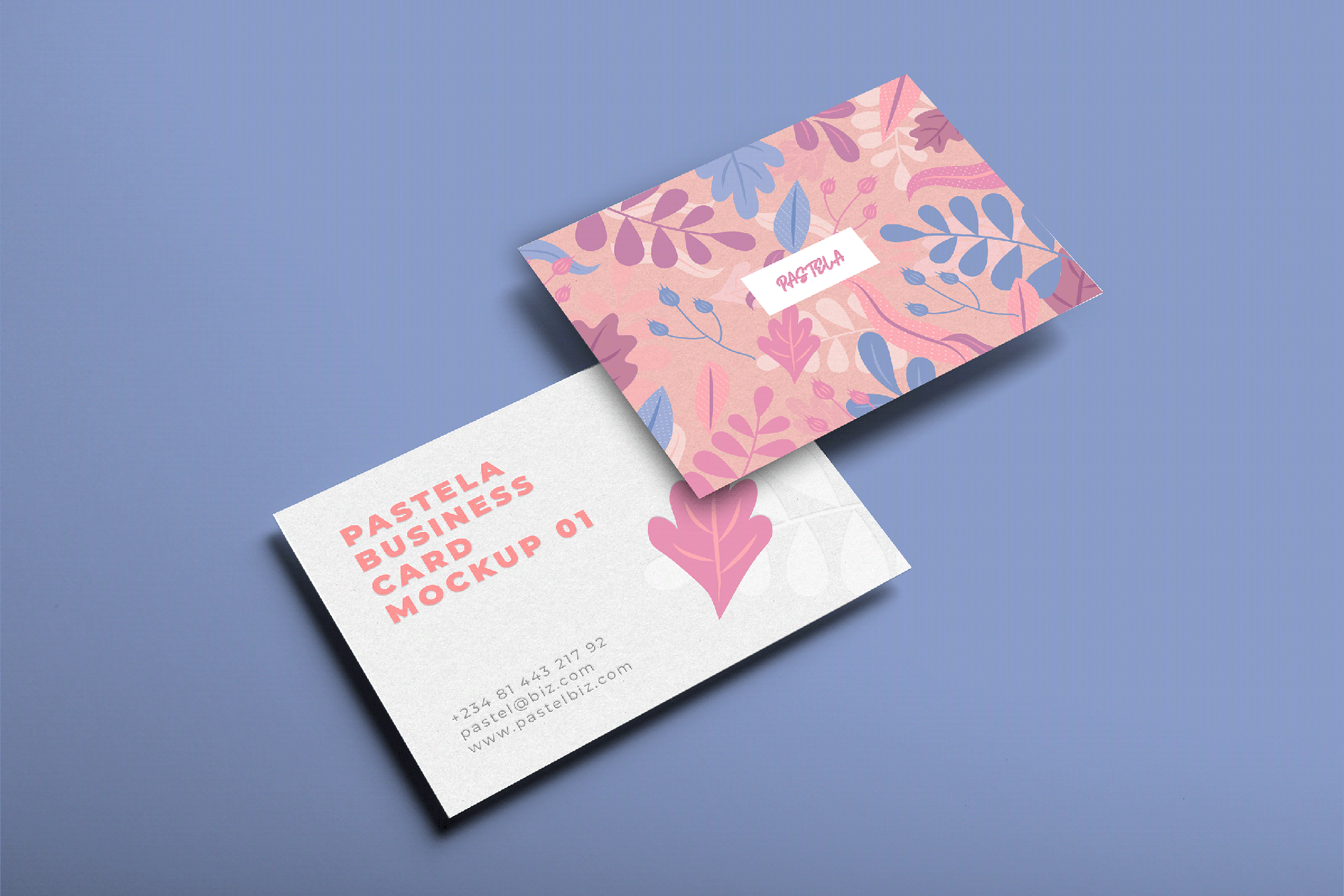 Business Card Mockup Collection V1 presentation image