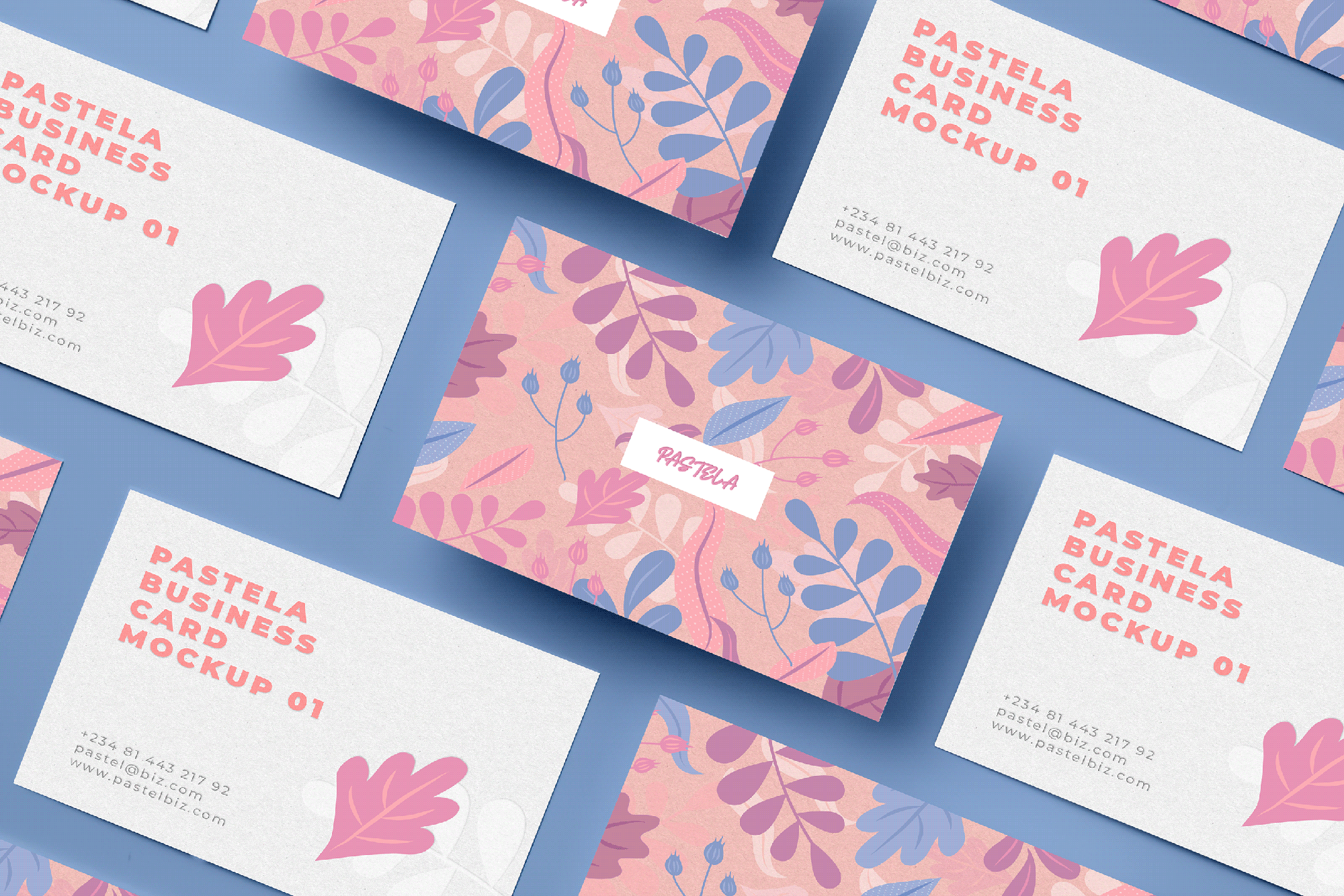 Business Card Mockup Collection V1 presentation image