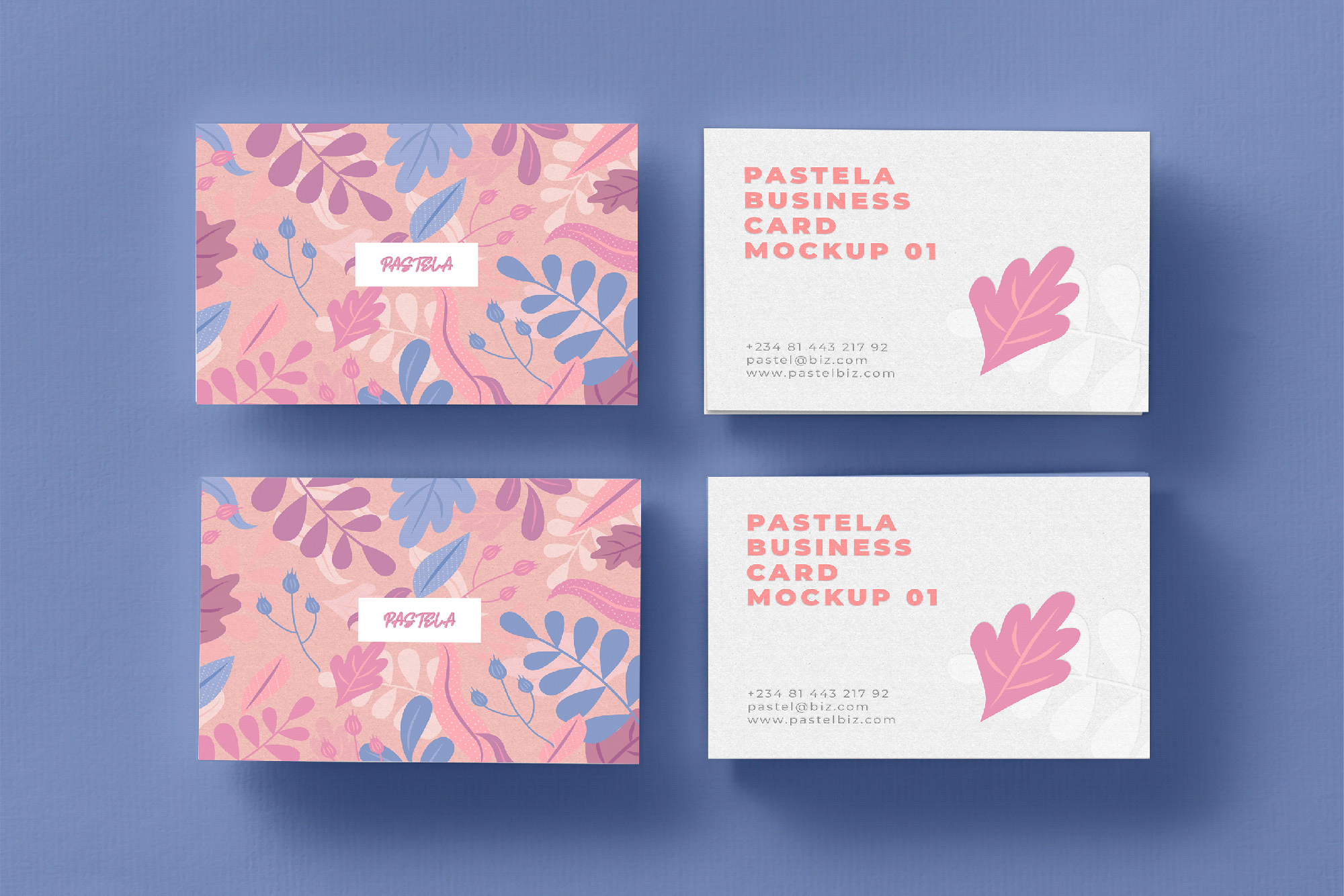 Business Card Mockup Collection V1 presentation image