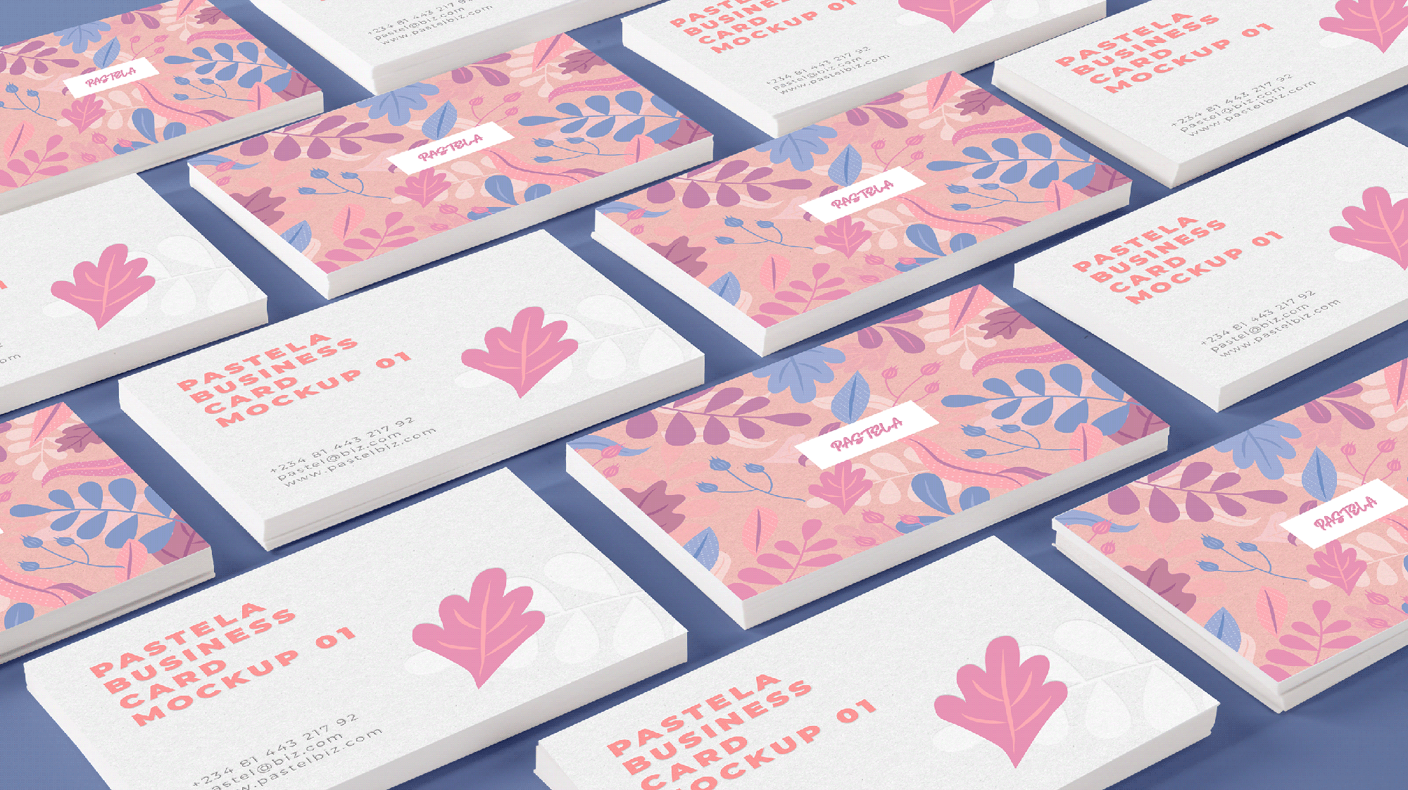Business Card Mockup Collection V1 presentation image