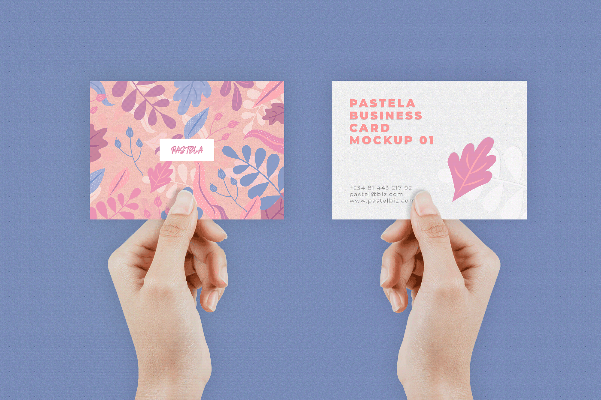 Business Card Mockup Collection V1 presentation image