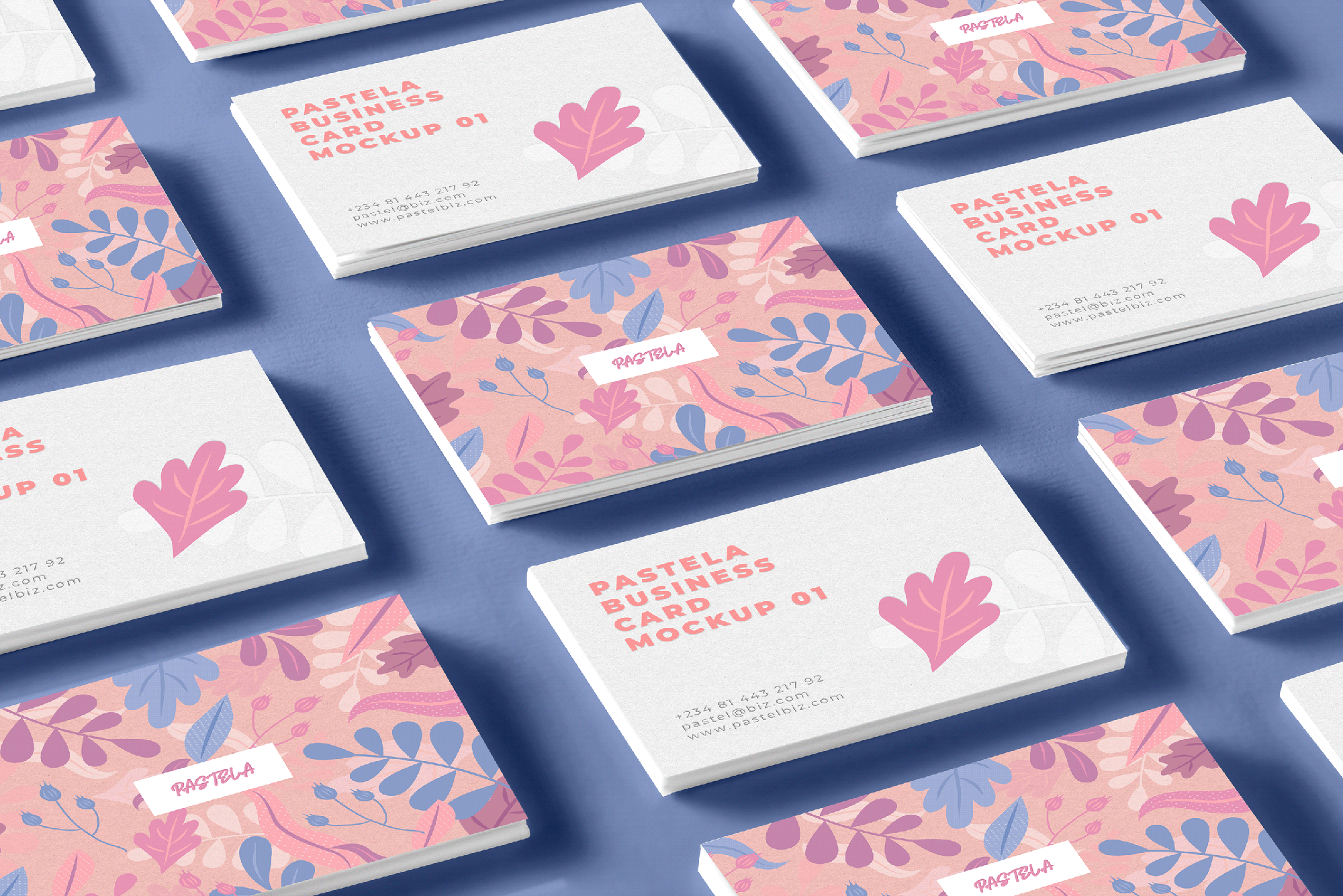 Business Card Mockup Collection V1 presentation image