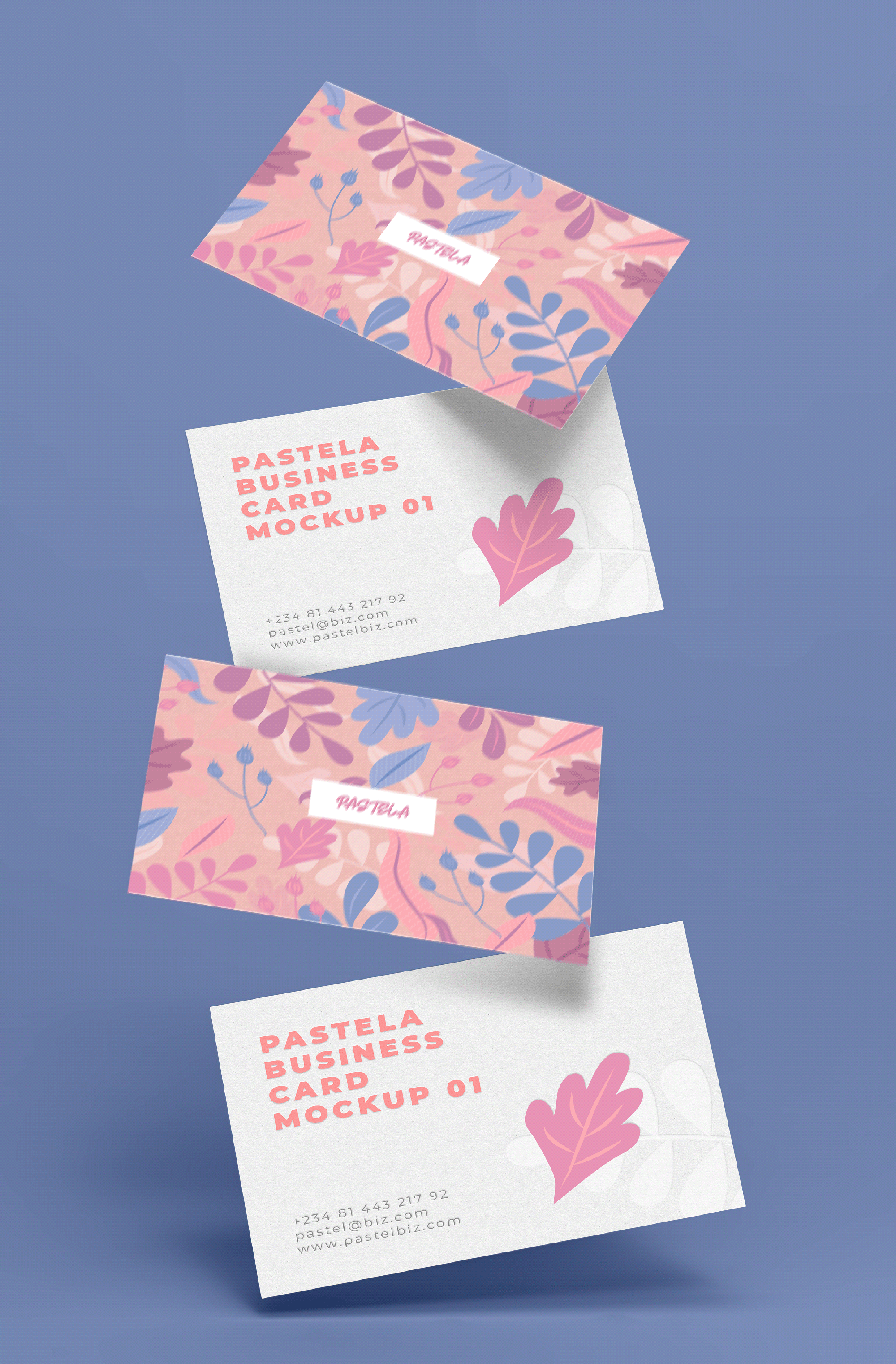 Business Card Mockup Collection V1 presentation image