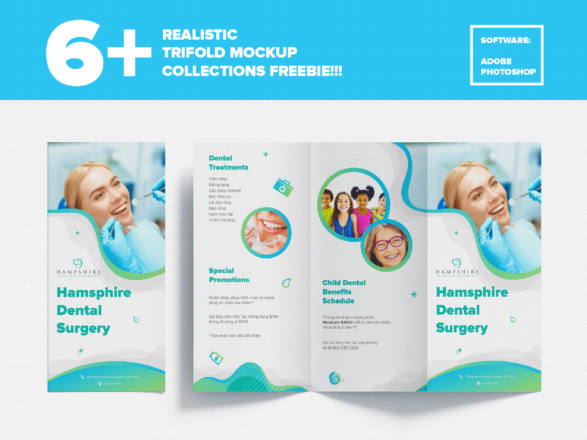 Realistic Trifold Mockup Collections presentation image