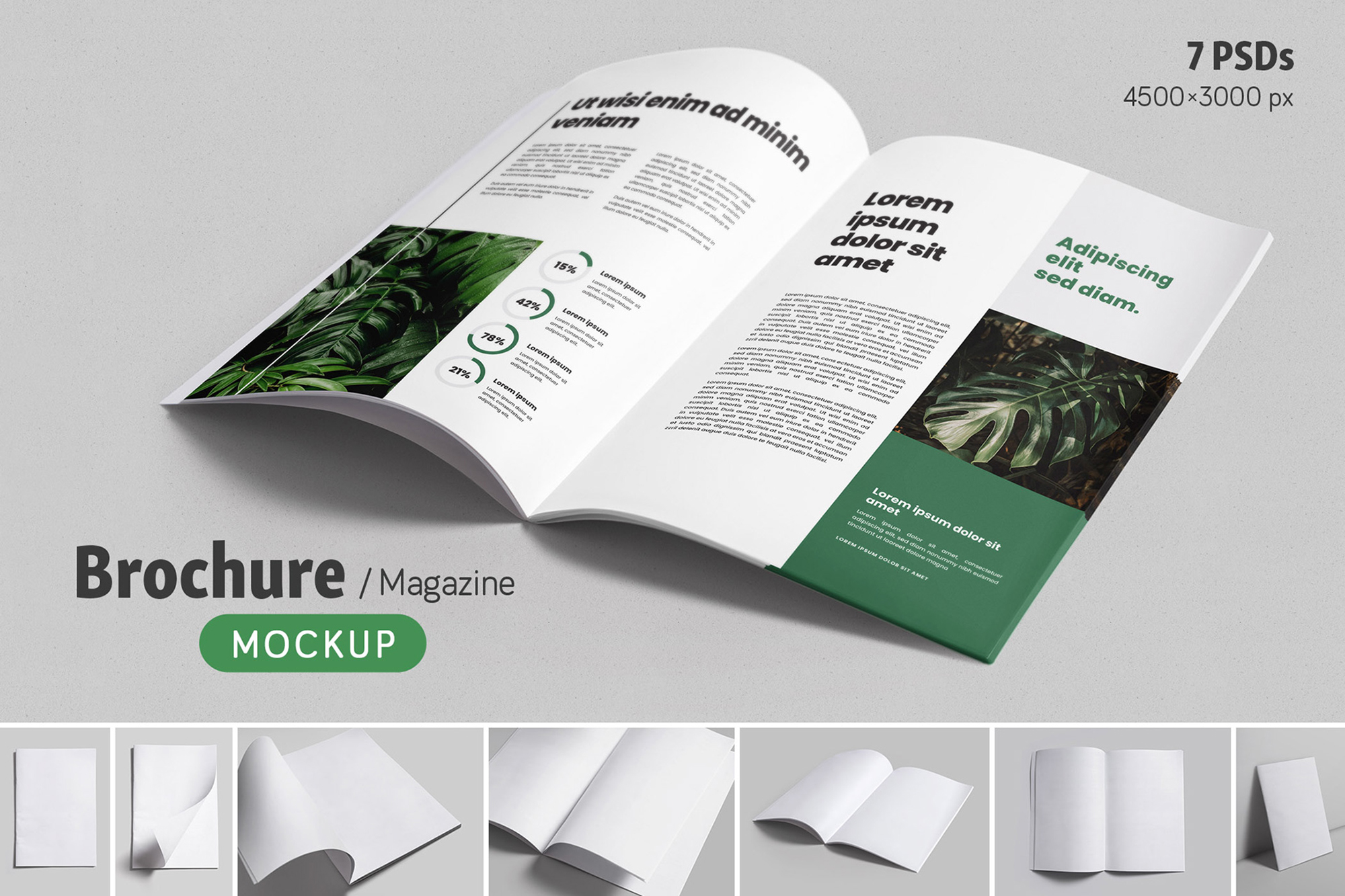 Brochure / Magazine Mockups (1 Free) presentation image