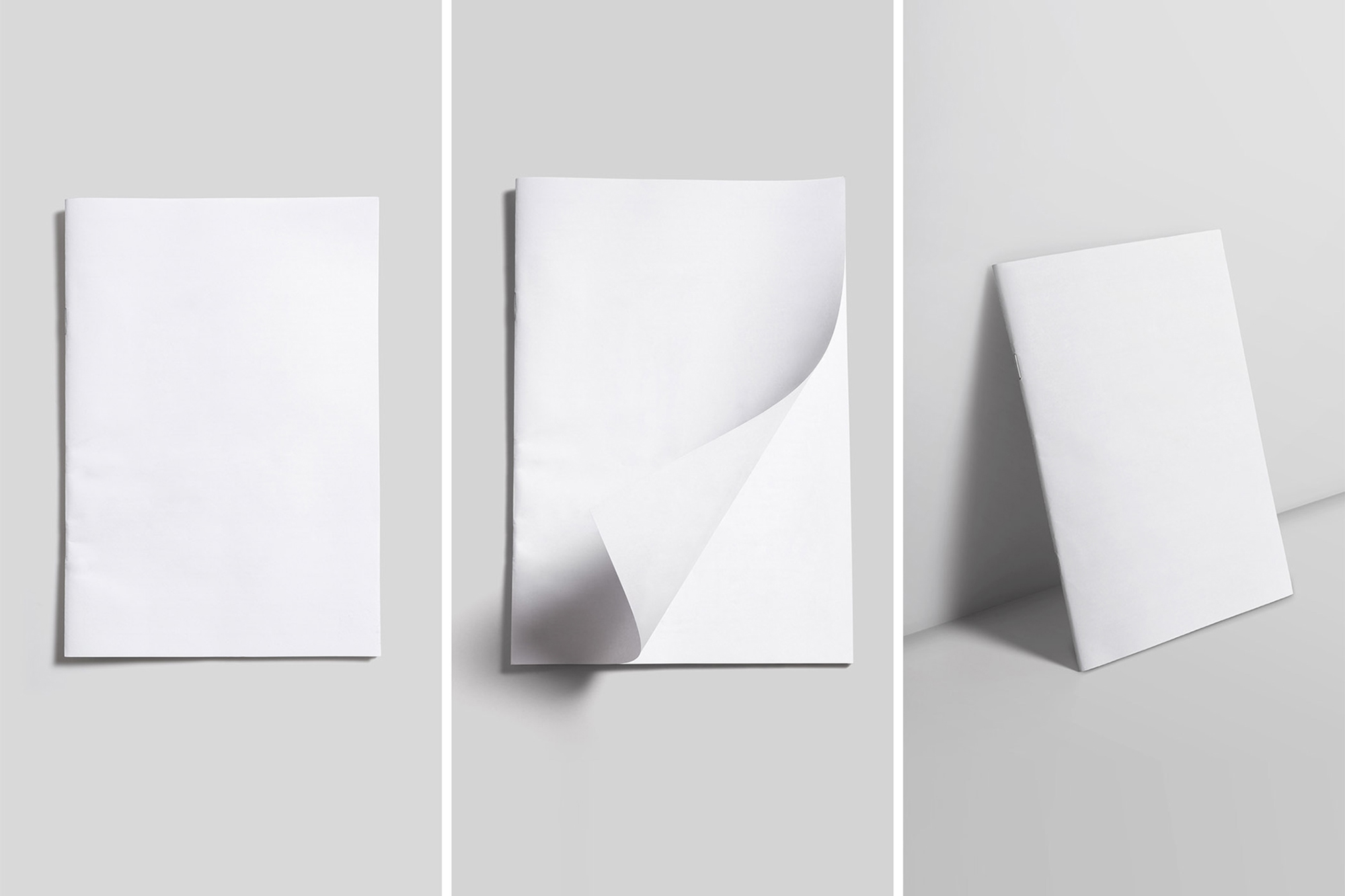 Brochure / Magazine Mockups (1 Free) presentation image