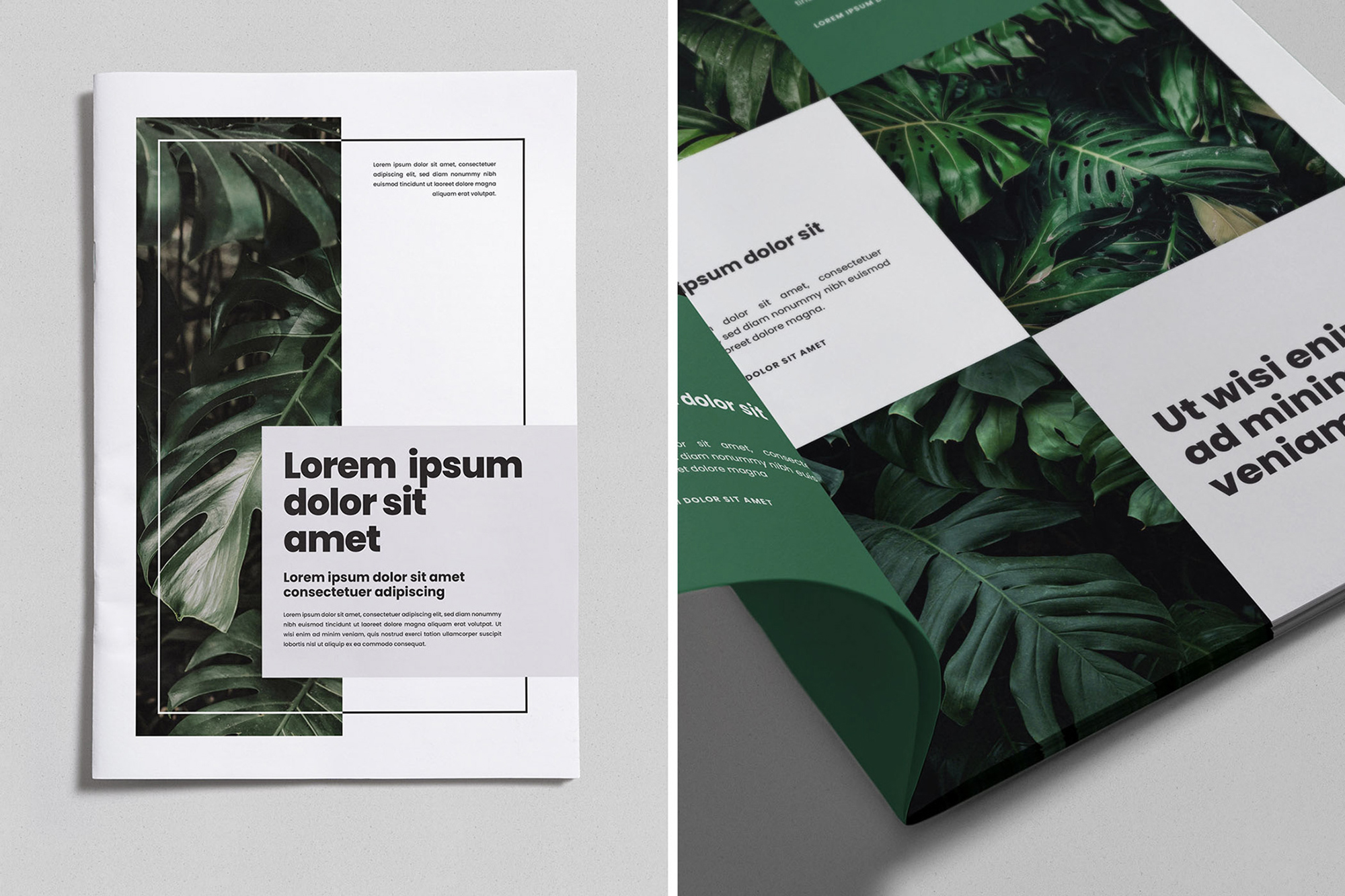 Brochure / Magazine Mockups (1 Free) presentation image