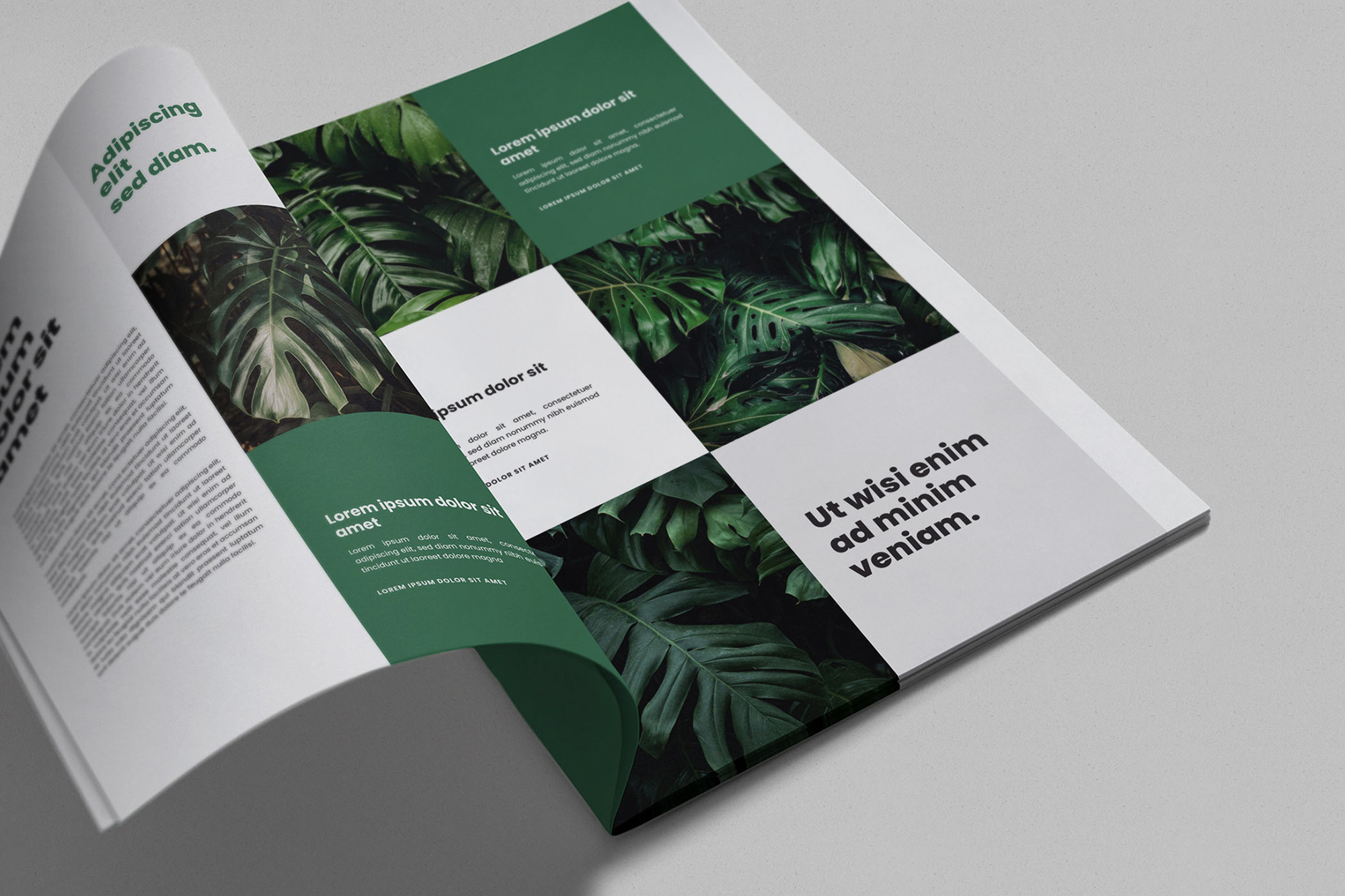 Brochure / Magazine Mockups (1 Free) presentation image
