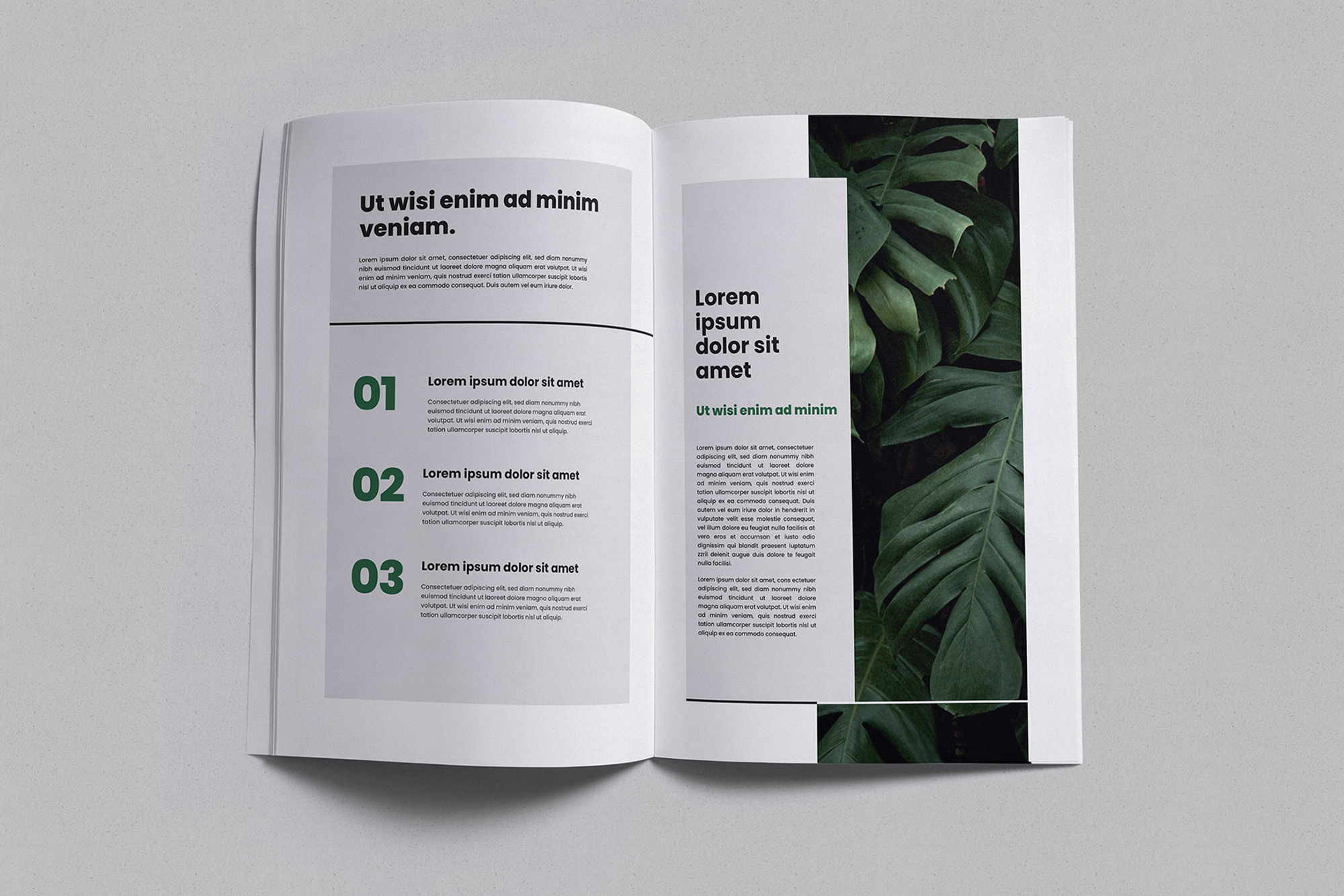 Brochure / Magazine Mockups (1 Free) presentation image
