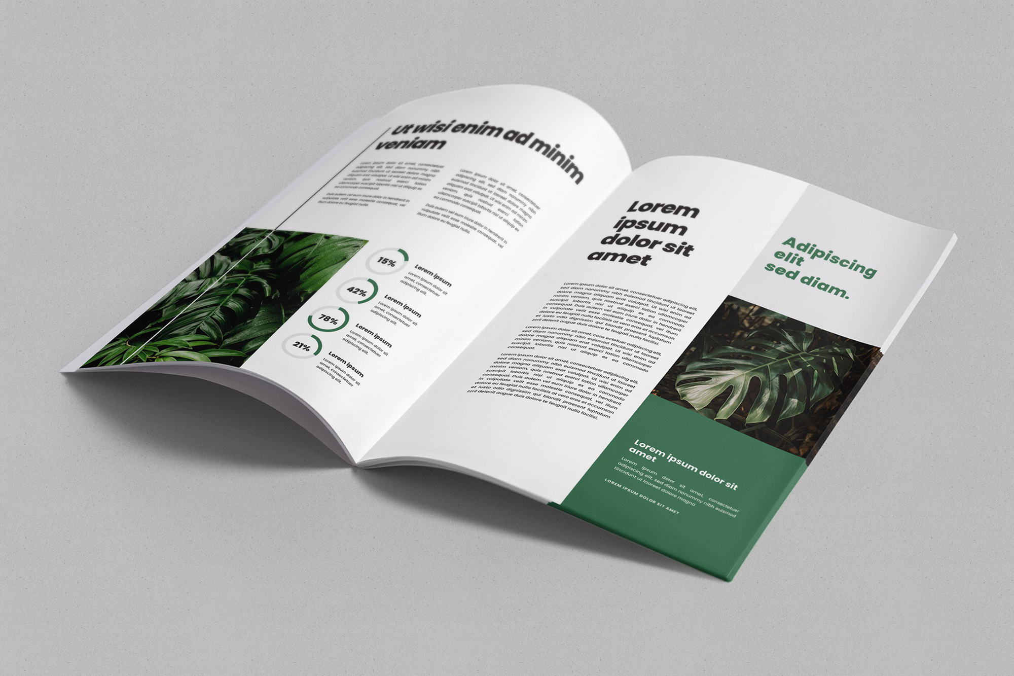 Brochure / Magazine Mockups (1 Free) presentation image