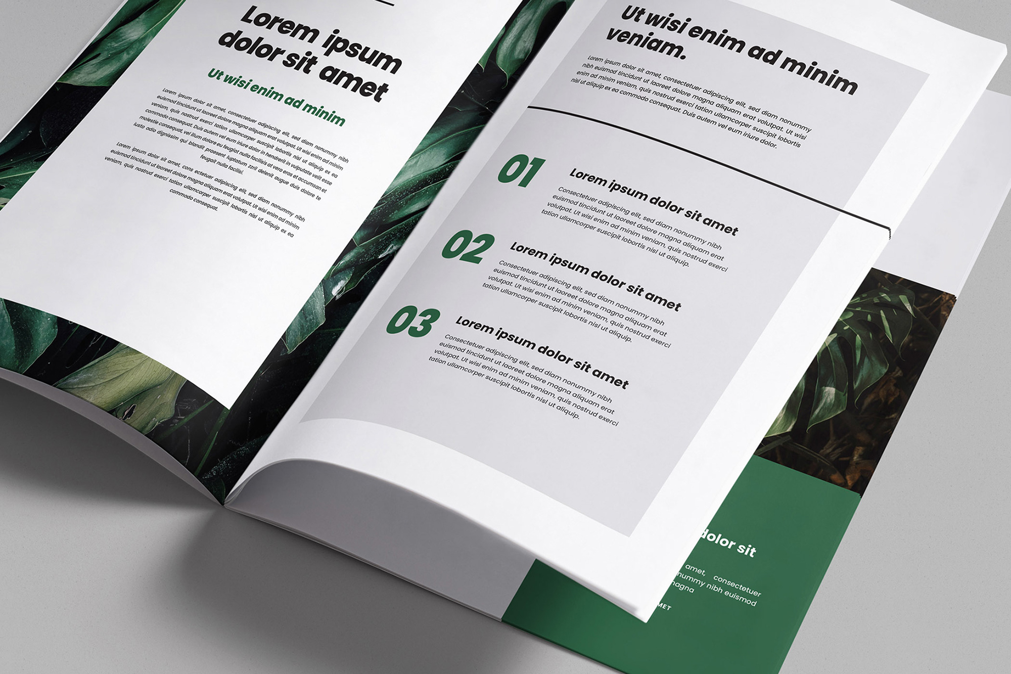 Brochure / Magazine Mockups (1 Free) presentation image