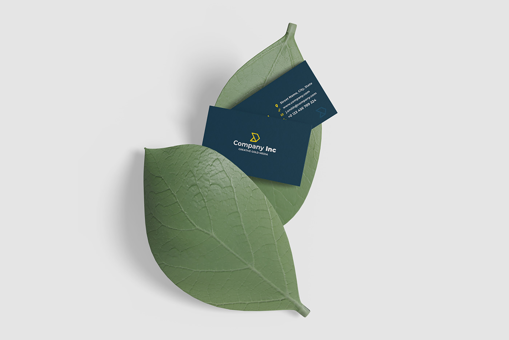 Minimalist Business Card Mockup presentation image