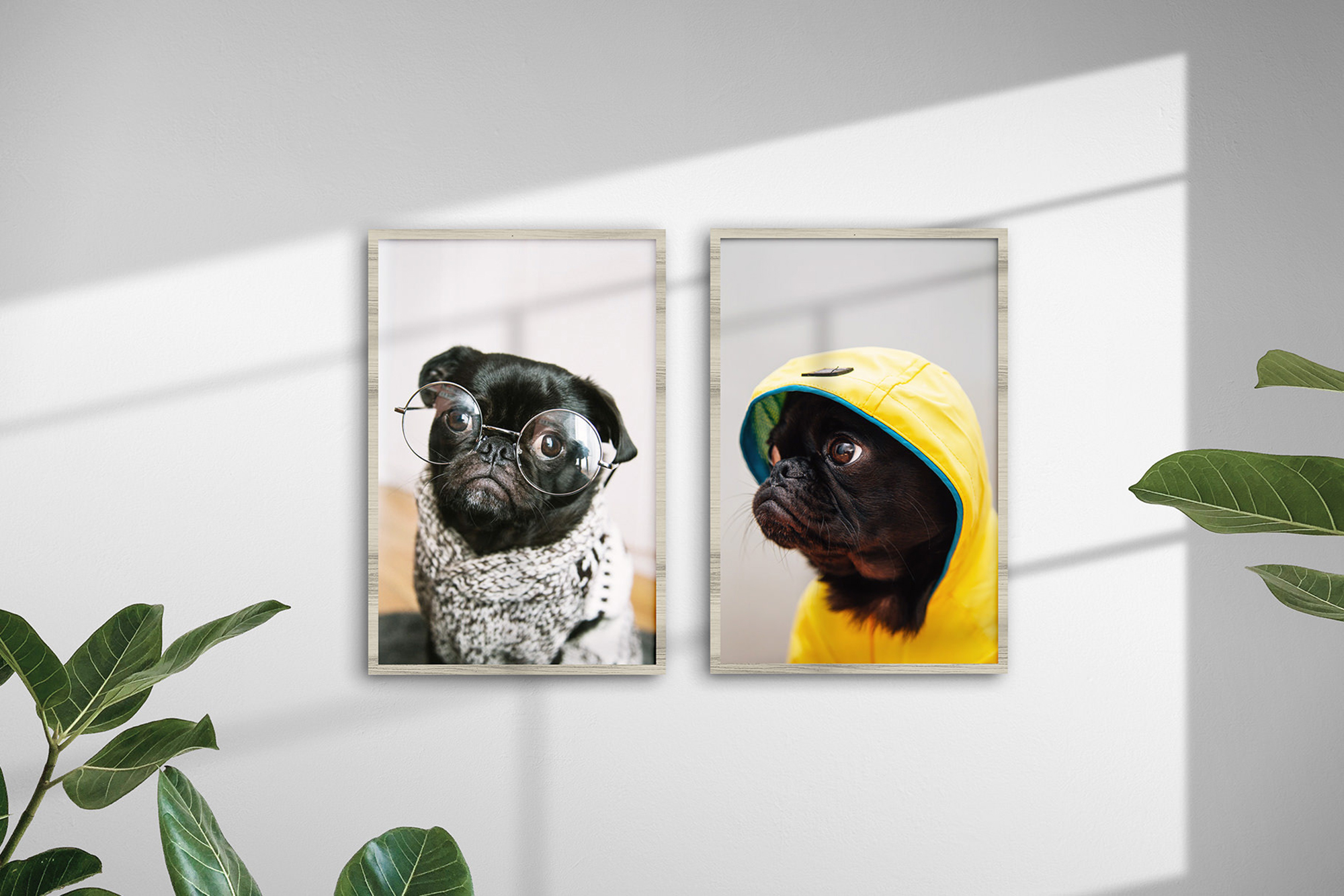 Athena - 2:3 Frame Scene Creator presentation image