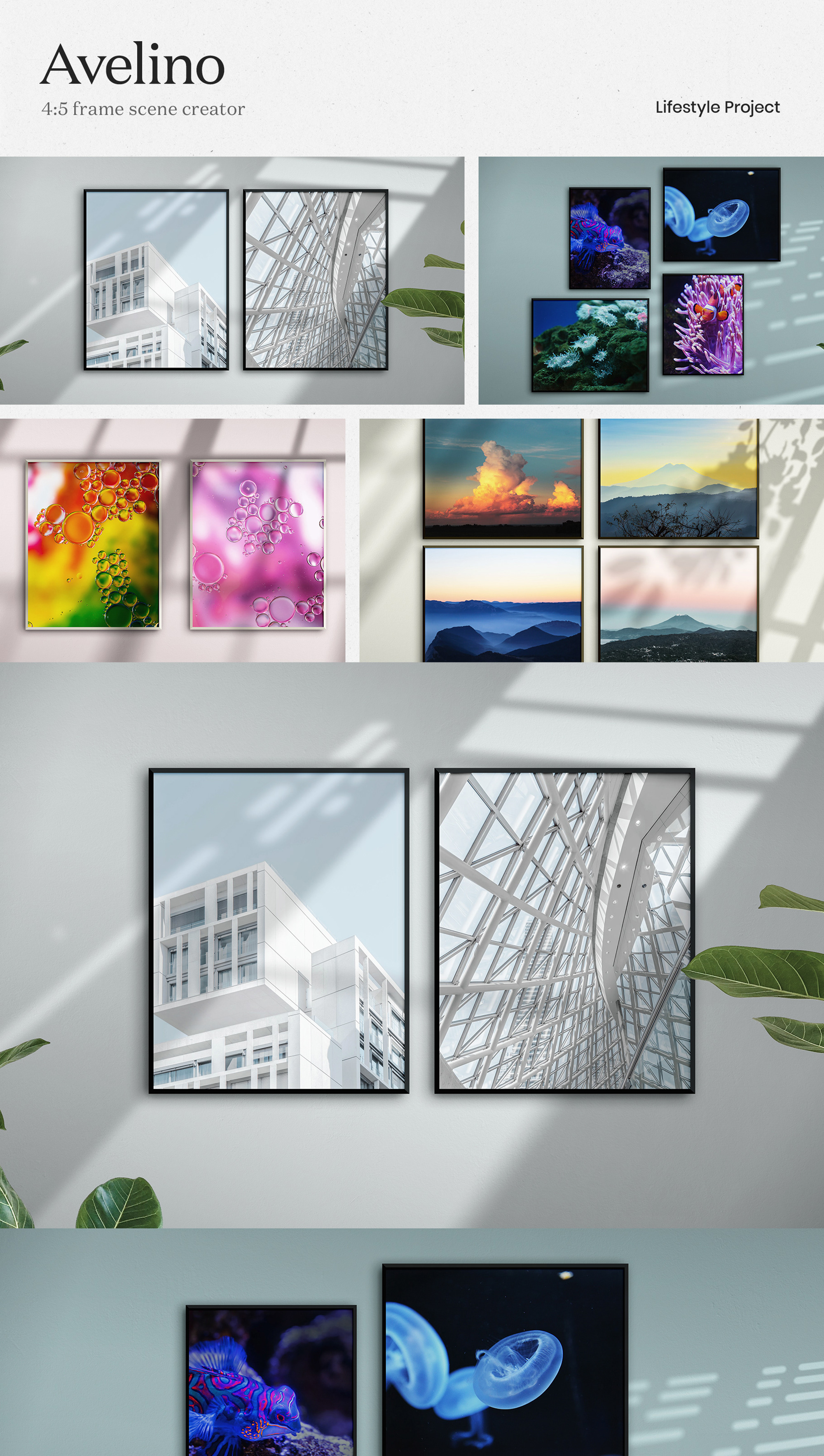 Avelino - 4:5 Frame Scene Creator presentation image