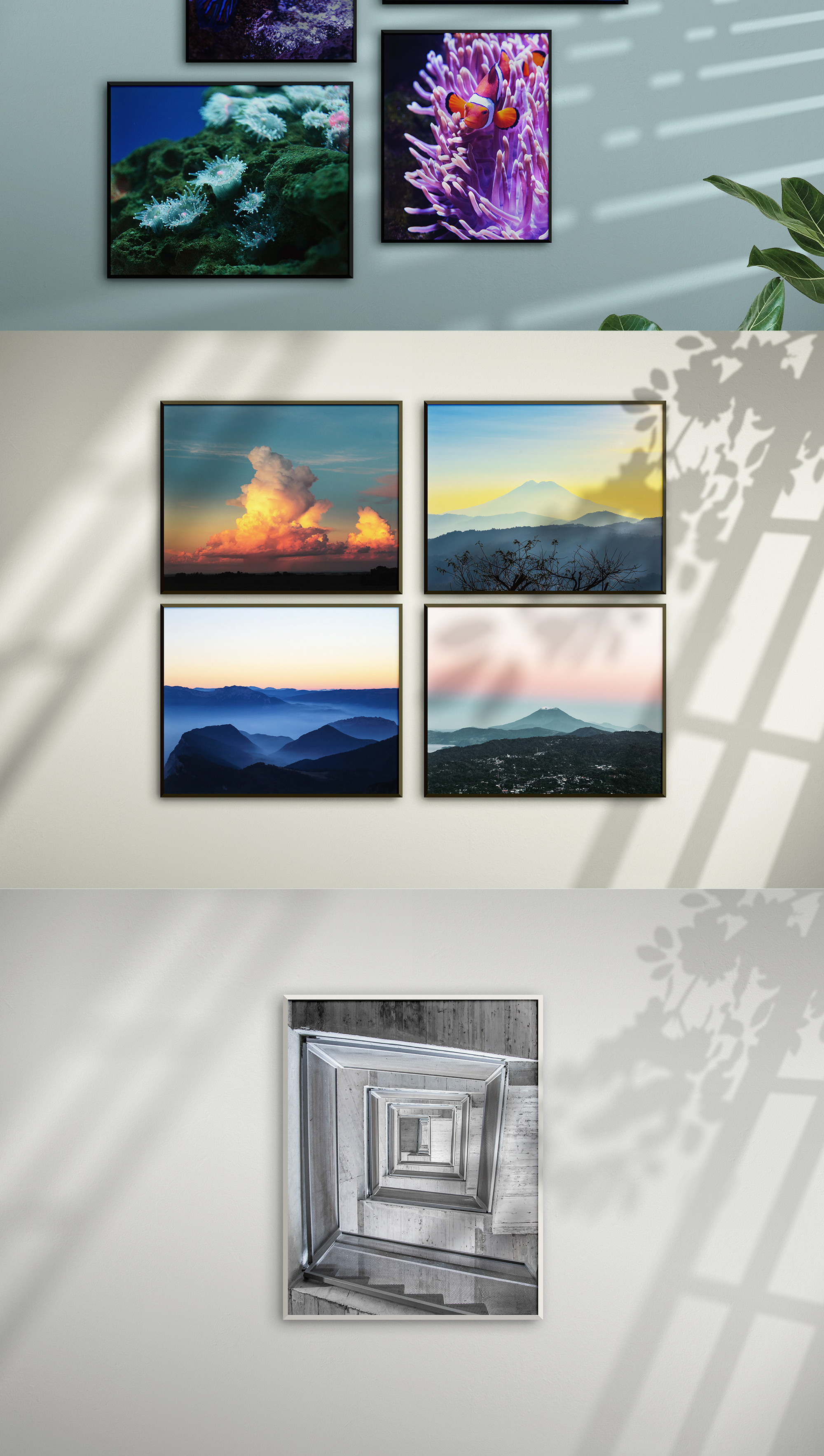 Avelino - 4:5 Frame Scene Creator presentation image