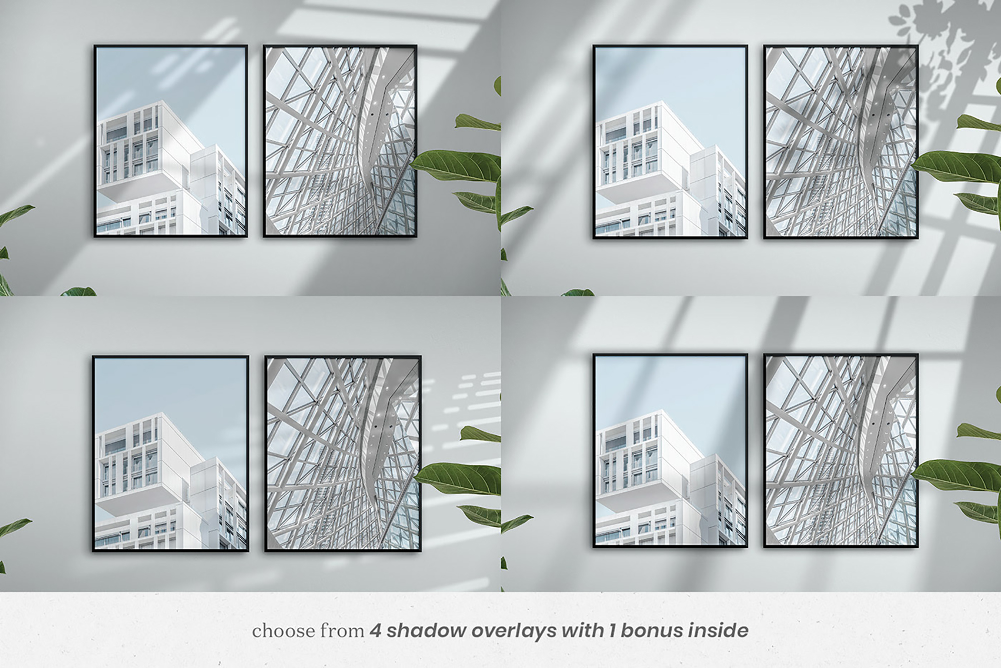 Avelino - 4:5 Frame Scene Creator presentation image