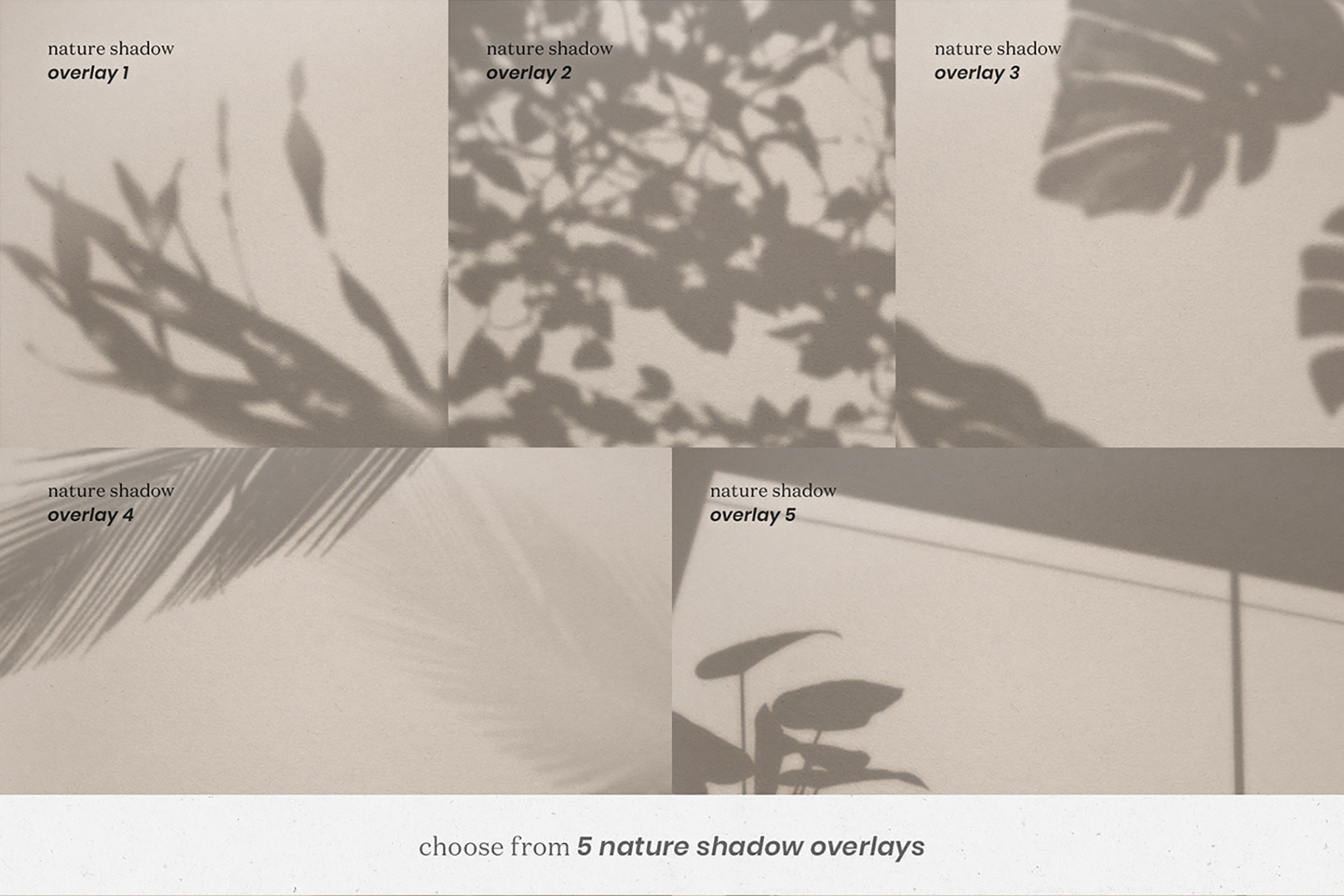 Imperial – Book & Magazine Scene Creator presentation image