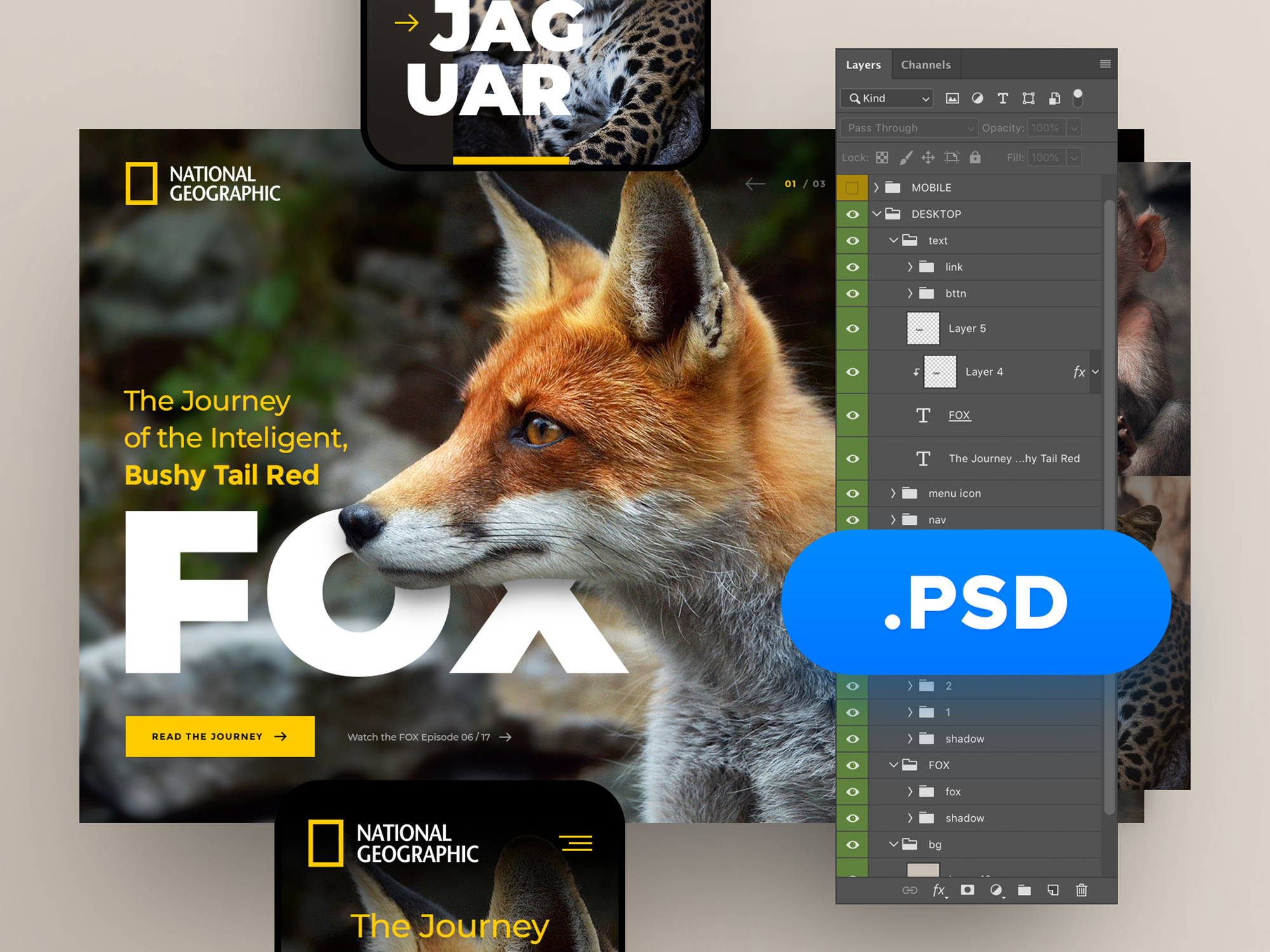 National Geographic PSD presentation image