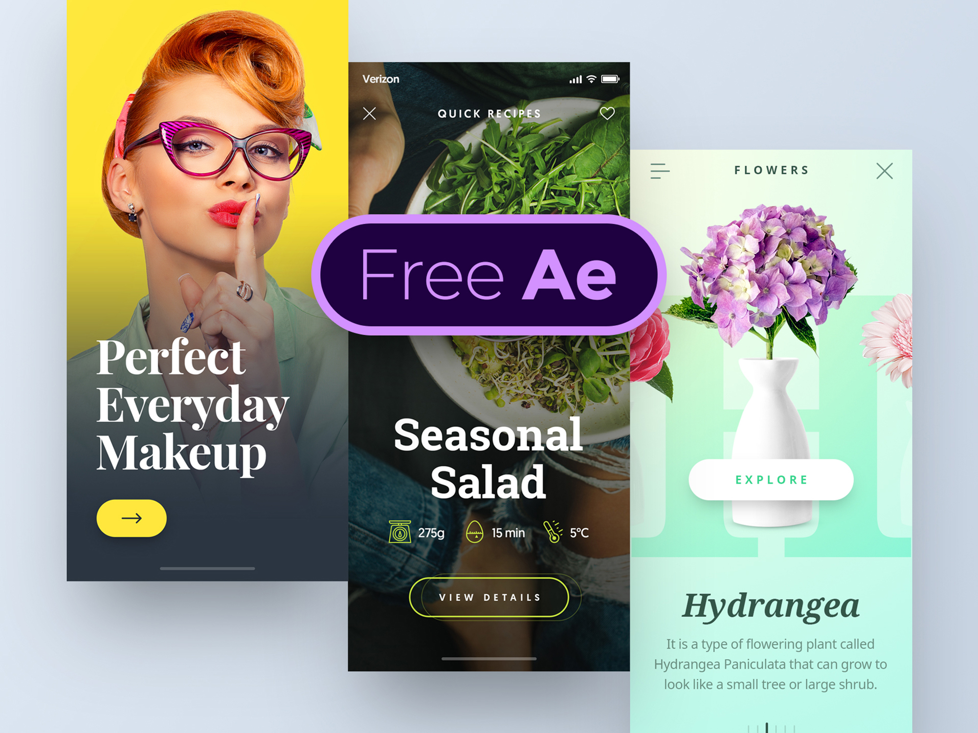 App Animations - Free AE presentation image