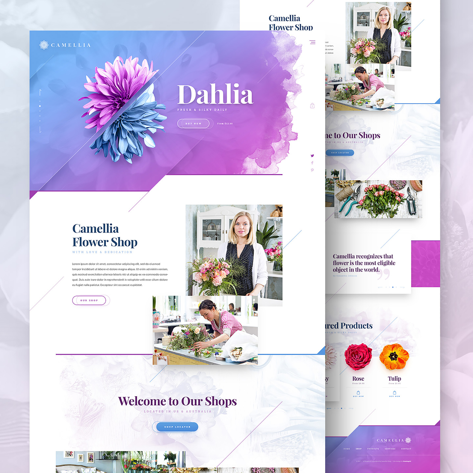 Web Animations - Free PS + AE presentation image