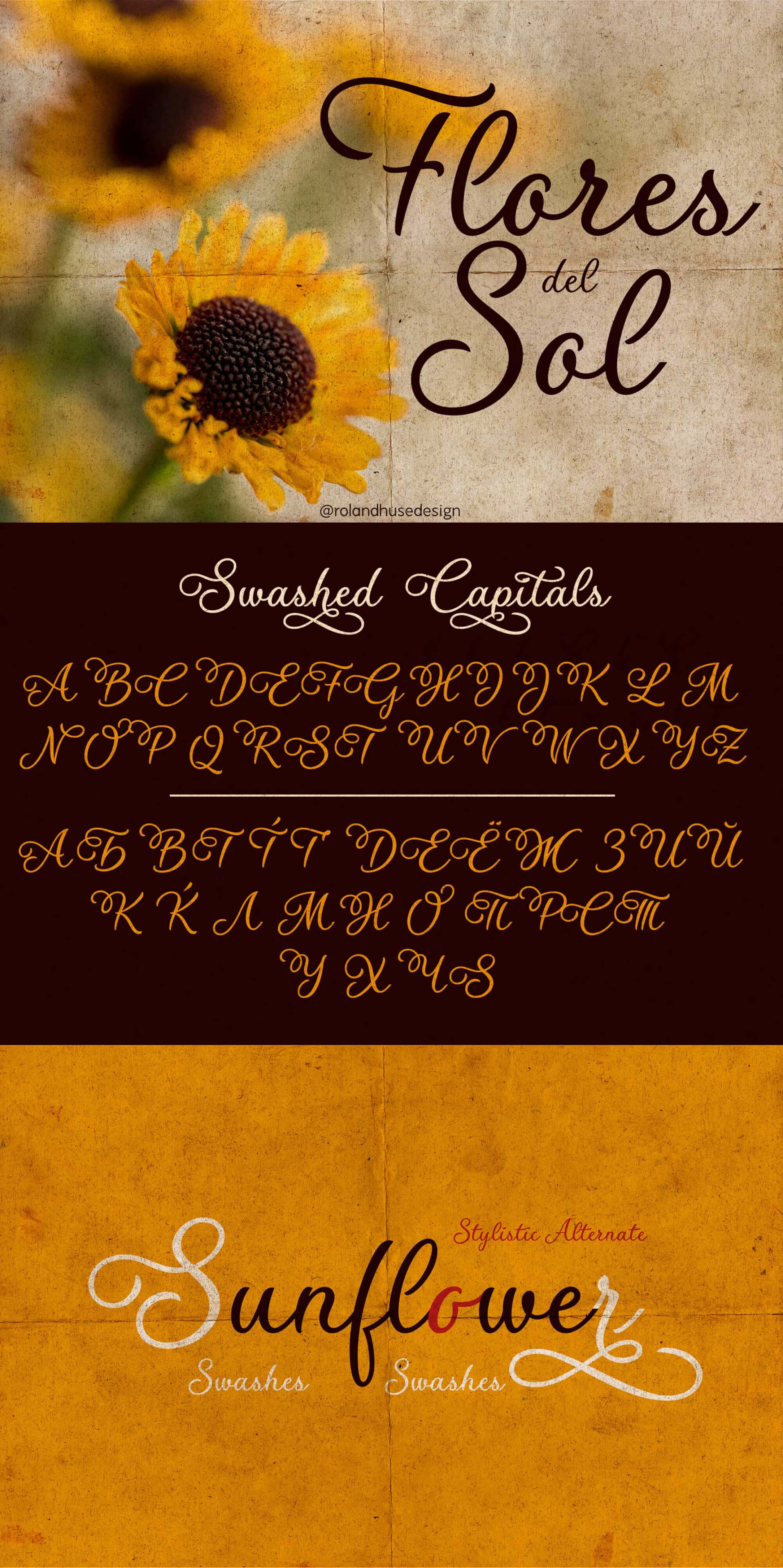 Flores del Sol presentation image