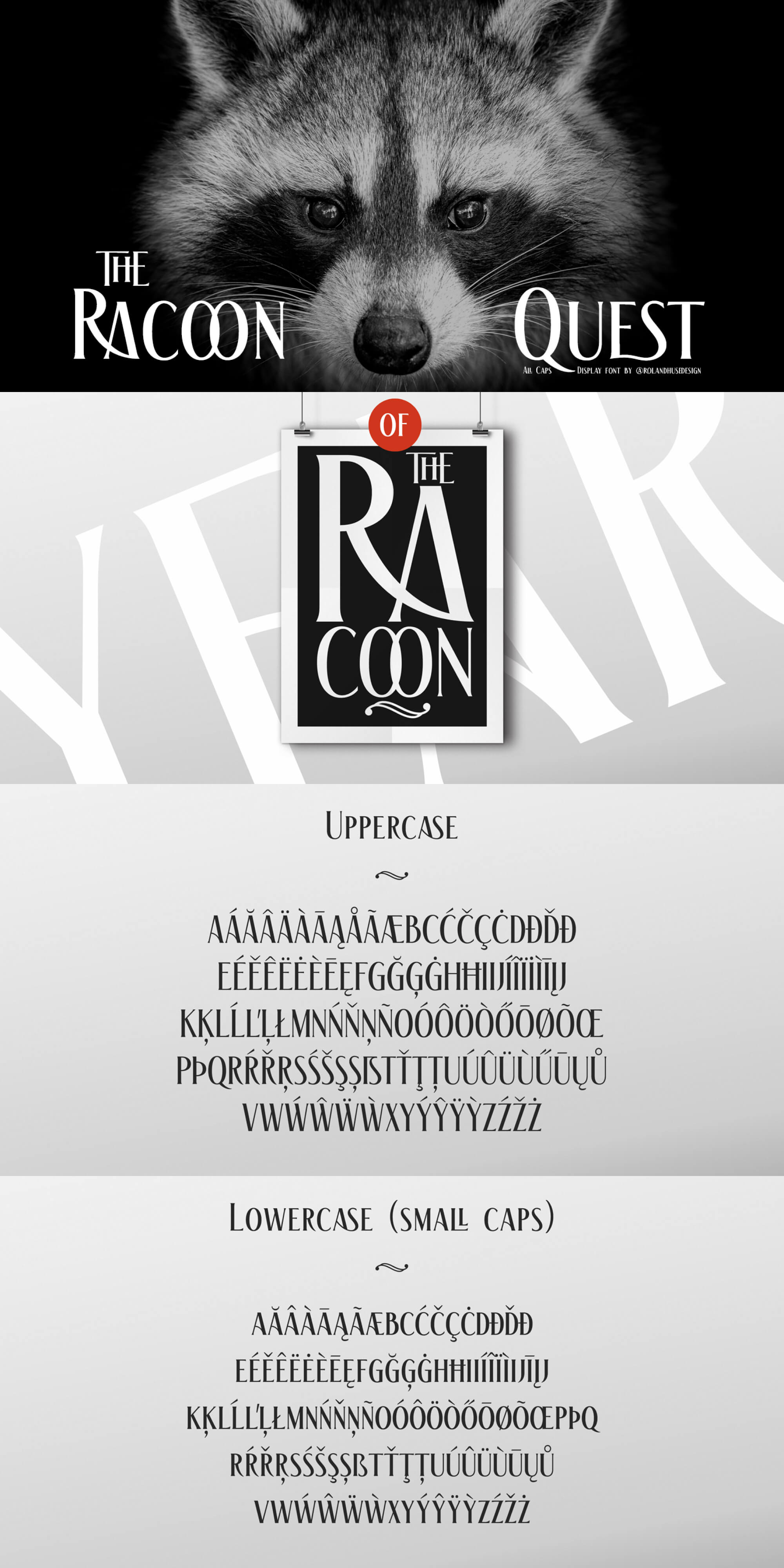 The Racoon Quest presentation image