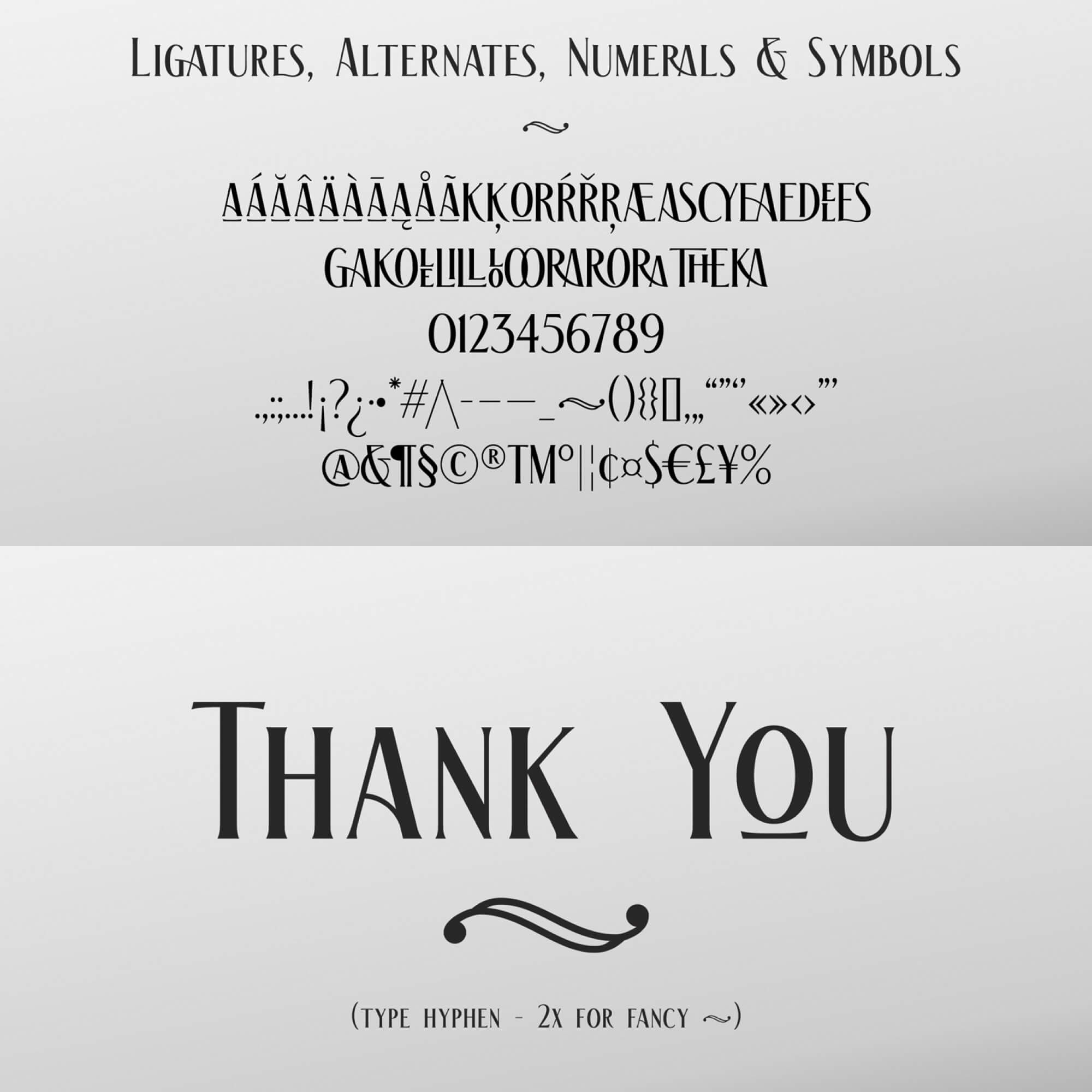 The Racoon Quest presentation image