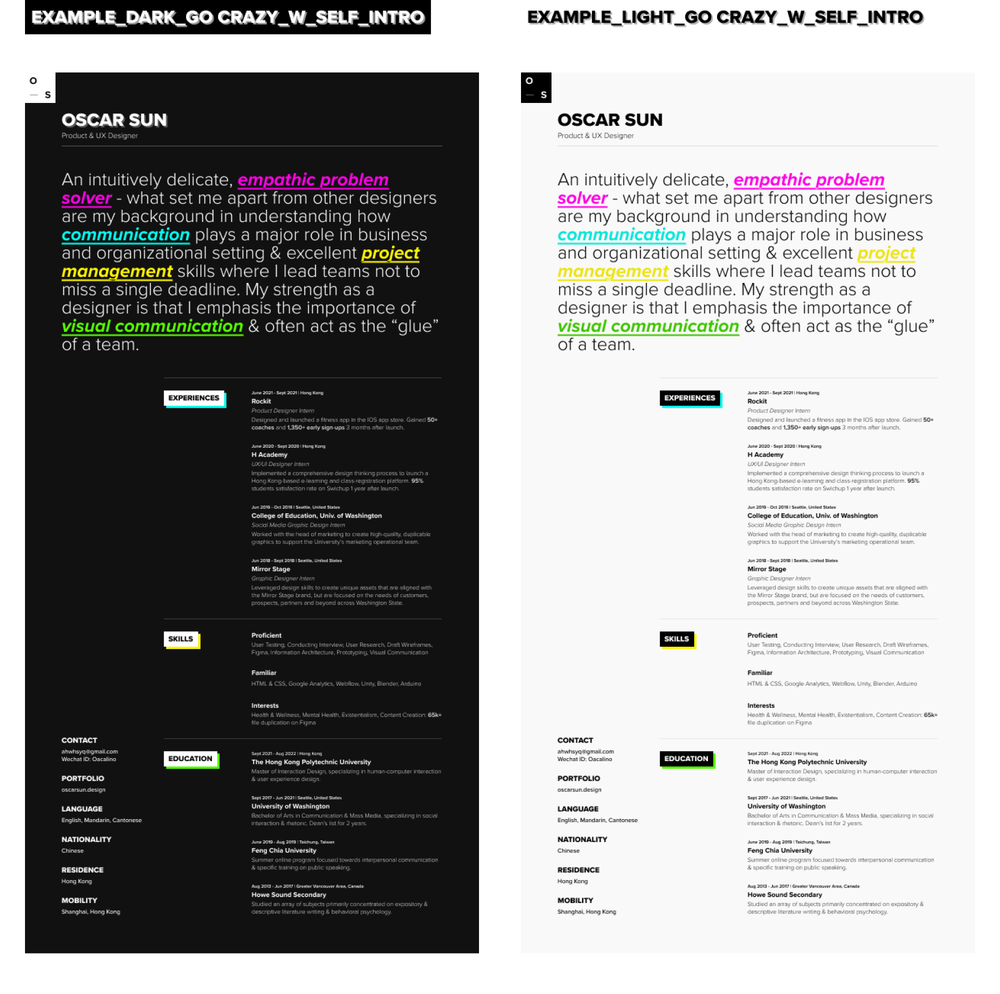 Resume/CV (Curriculum Vitae) Template presentation image